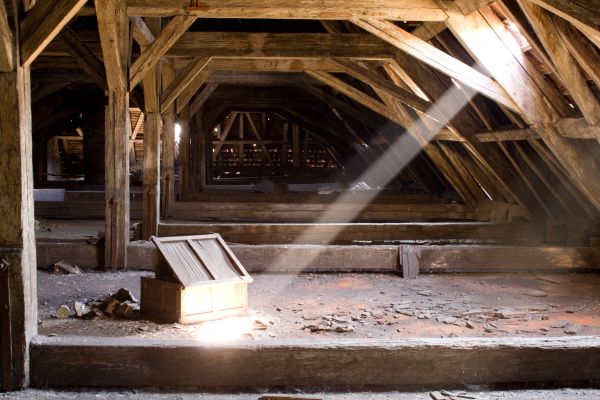 Attic Cleanout