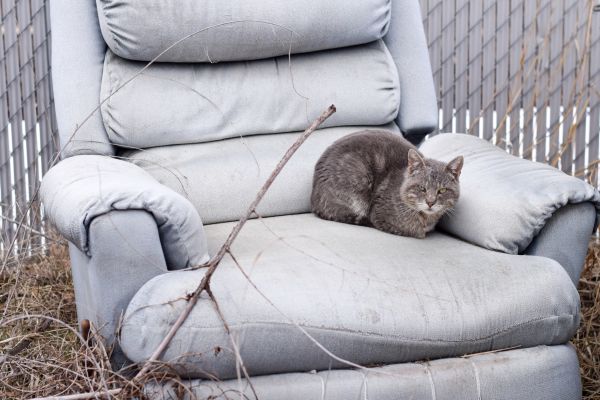 Recliner Disposal in Odessa